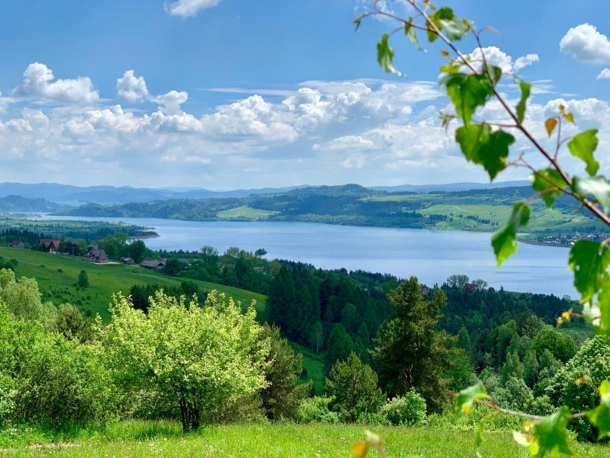 Koza U Woza Wypocznij W Gorach W Rytmie Slow Drewniany Dom Premium Z Widokiem Na Panorame Tatr Ecospa Strefa Fitness Zielona Farma Warsztaty (Adults Only) Szlembark Exteriér fotografie